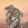 custom by #16934: A beautiful Labrador Pitbull mix. Goes with invisible dogs best but can work with that larger breeds. custom by #16934: A beautiful Labrador Pitbull mix. Goes with invisible dogs best but can work with that larger breeds.